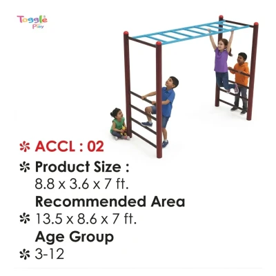 Kids Monkey Bar Climber with Ladder