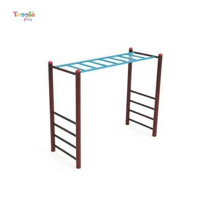 Kids Monkey Bar Climber with Ladder